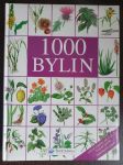 1000 bylin - náhled