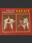 Základy sebaobrany karate - náhled