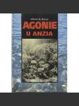 Agonie u Anzia [Obsah: druhá světová válka, vylodění Spojenců v Itálii, 1944] - náhled