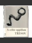 Třísov. A celtic oppidum in South Bohemia [prehistorie, Keltové] - náhled