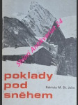 Poklady pod sněhem - john patricia st. - náhled