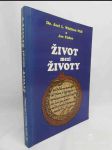 Život mezi životy: Vědecké zkoumání prostoru oddělujícího jednu inkarnaci od druhé - náhled