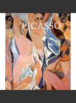 Picasso - náhled