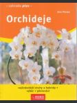 Orchideje - náhled