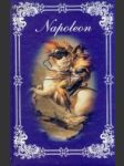 Napoleon - náhled