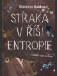 Straka v říši entropie - náhled