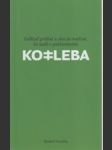 Kotleba. Odkiaľ prišiel a ako je možné že sedí v parlamente - náhled