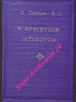 V sprievode ježišovom - úvahy pre učitelky - cohausz otto s.j. - náhled