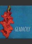 Gladioly - náhled