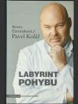 Labyrint pohybu - náhled