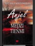 Anjel medzi tieňmi - náhled