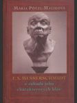 F. x. messerschmidt a záhada jeho charakterových hláv - náhled