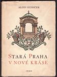 Stará praha v nové kráse kubíček alois - náhled