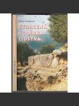 Ztracená kolébka lidstva [Z obsahu: záhady, Okraje propasti, Mimozemská technika, Americké paradoxy, Atlantida a spol., Kamenománie ve zkratce, Templáři aj.] - náhled