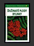 Dužinaté plody / Bylinky - náhled