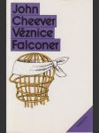 Věznice Falconer - náhled