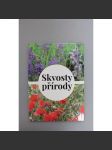 Skvosty přírody (příroda, biotop, mj. Soos, Šumava, Panská skála, Stolové hory, Český les) - náhled