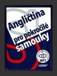 Angličtina pro pokročilé samouky + MP3 - náhled