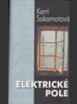 Elektrické pole - náhled