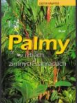 Palmy v izbách a zimných záhradách - náhled