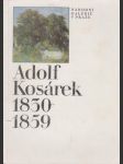 Adolf Kosárek 1830-1859 - náhled