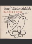 Radost i hoře - náhled