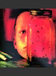 Jar of flies alice in chains - náhled