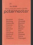 Paternoster 24-25 / 89 malá revue pro umění a kritiku - náhled