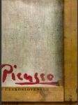 Picasso  v  československu - náhled