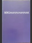 Katalog výstavy bergmann -hannak -ein  überlick - náhled