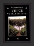 Vinice ve velkém údolí - náhled