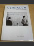 Gymnázium - náhled