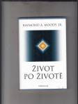 Život po životě - náhled