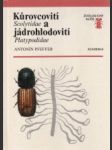 Kůrovcovití Scolytidae a jádrohlodovití Platypodidae - náhled