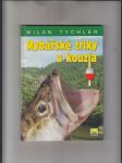 Rybářské triky a kouzla - náhled