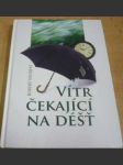 Vítr čekající na déšť - náhled