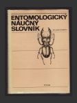 Entomologický náučný slovník - náhled