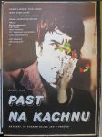 Past na kachnu - náhled