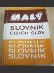 Malý slovník cizích slov - náhled