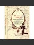 Hyberni v Praze. Dějiny františkánské koleje Neposkvrněného početí Panny Marie v Praze (Praha, klášter hybernů, křesťanství a kultura) - náhled