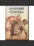 Anatomie člověka - náhled