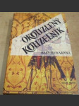 Okouzlený kouzelník - náhled