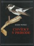 Chvíľky v prírode - náhled