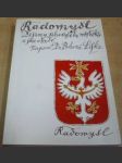 Radomyšl : dějiny jihočeského městečka a jeho okolí - náhled