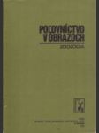 Poľovníctvo v obrazoch - náhled