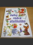 Velký rádce předškoláka. Hraj si, hádej, poslouchej, dívej se, maluj, kresli, přemýšlej - a dobře se bav. - náhled