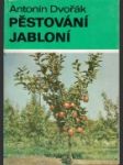 Pěstování jabloní - náhled