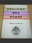 Anglicky bez učení - náhled