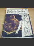 Biologie člověka v obrazech - náhled