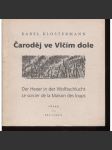 Čaroděj ve vlčím dole - Der Hexer in der Wolfsschlucht - Le sorcier de la Maison des loups - náhled